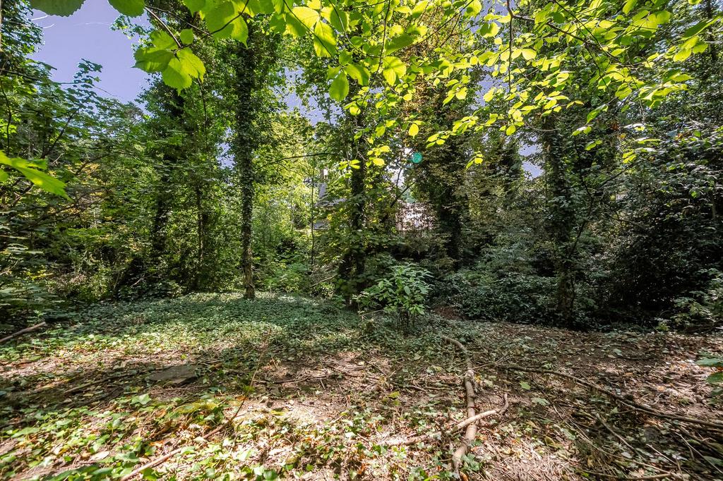 Woodland