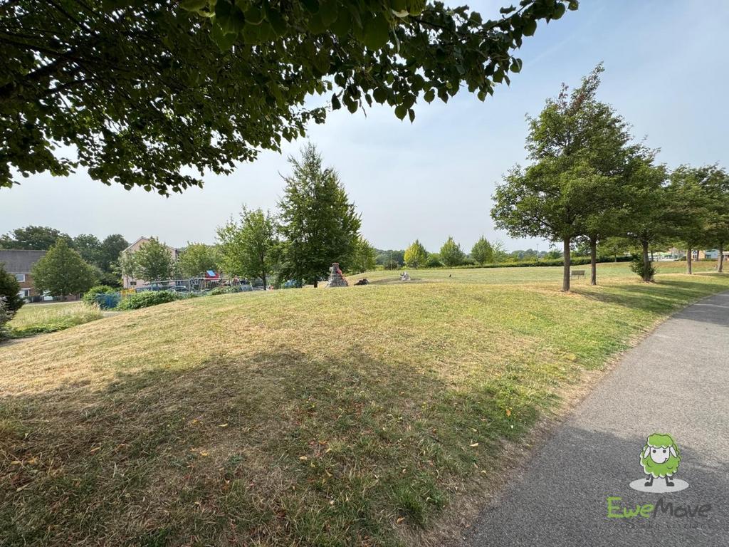 Nearby field