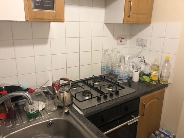 Pic 5