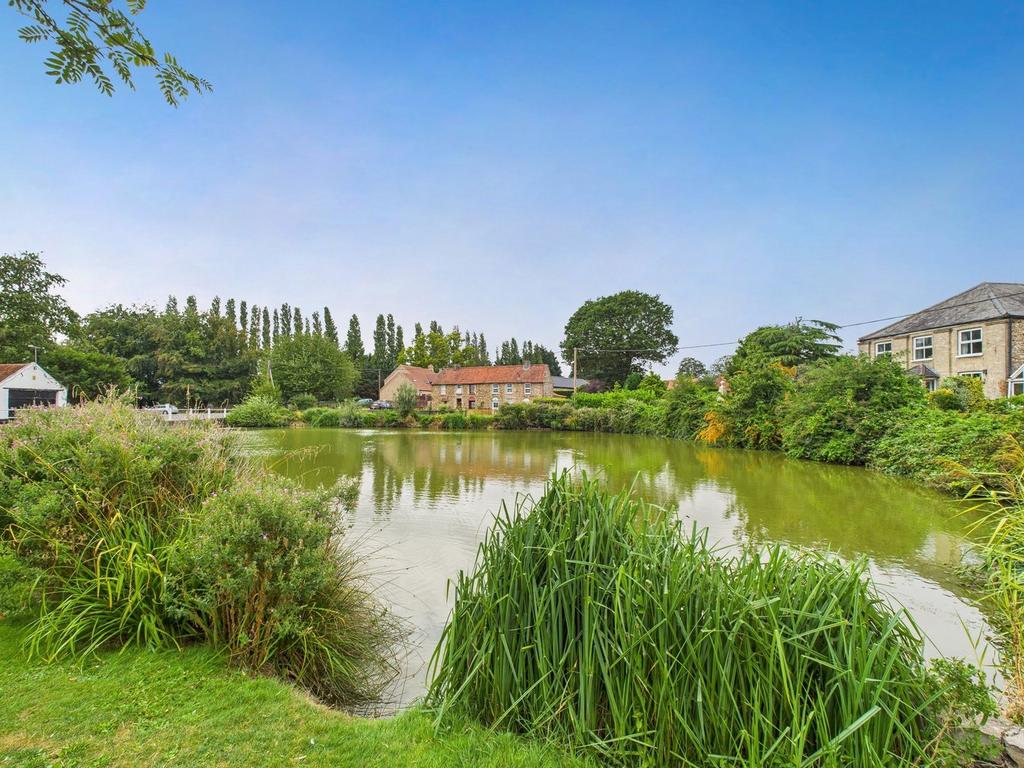 Views Over Pond