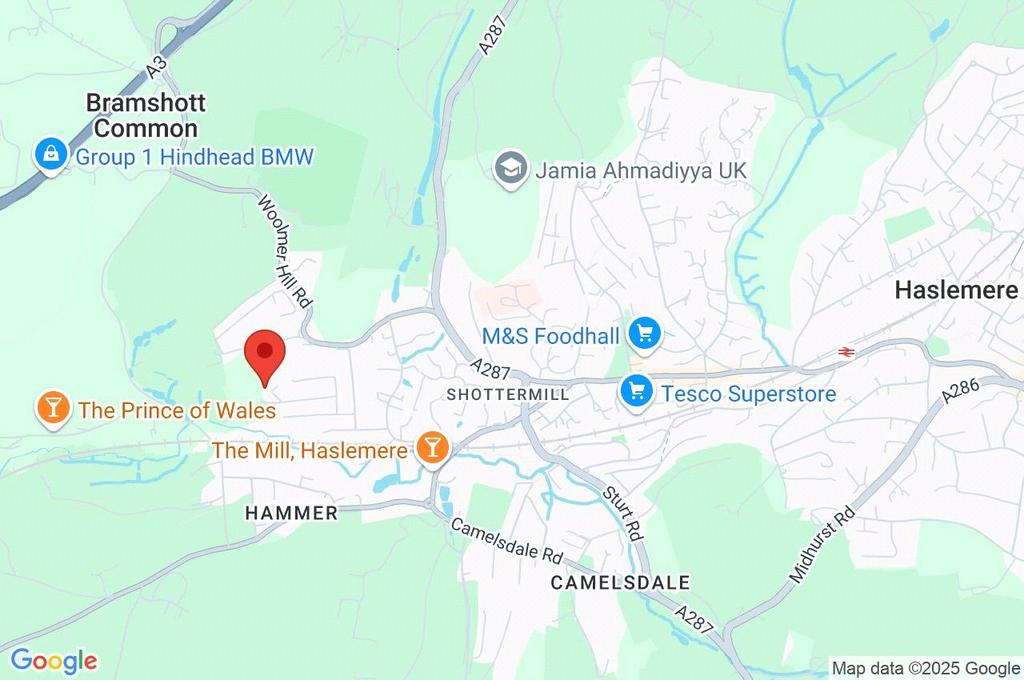 Google Maps Image