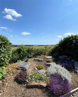 undefined, South Petherwin, Cornwall PL15