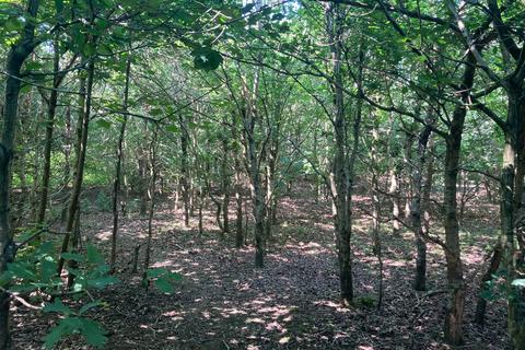 undefined, Land Lying To The West of London Road, Cuckfield, Haywards Heath, West Sussex