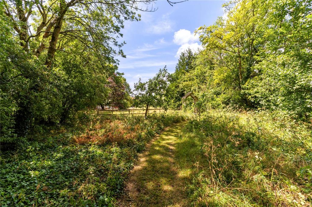 Wooded/Wild Area