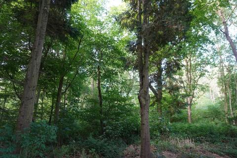 undefined, Bernet Wood, Harthill, Sheffield S26