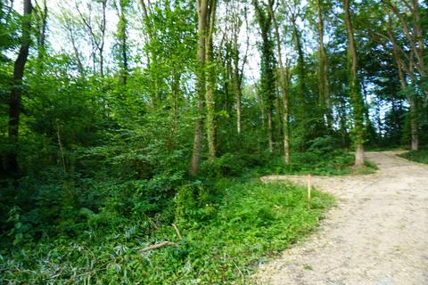 undefined, Bernet Wood, Harthill, Sheffield S26