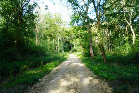 undefined, Bernet Wood, Harthill, Sheffield S26