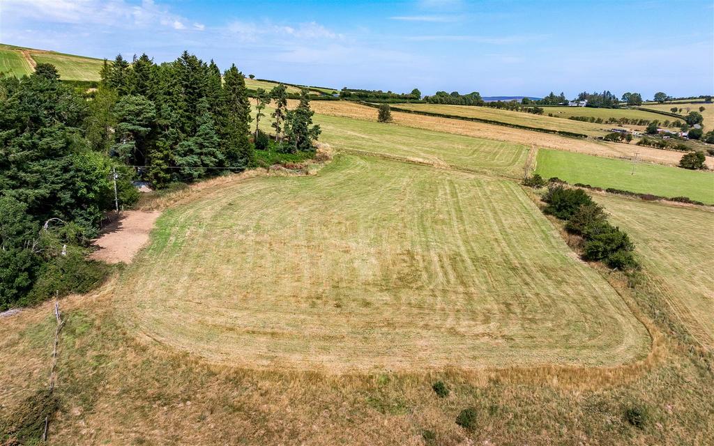 DJI 20250812130246 0631 D DJI.jpg