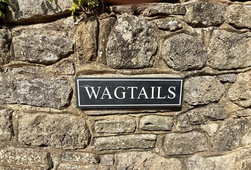 Wagtails.jpg