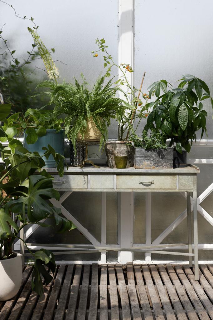 304458 - AJ8 A5518.jpg