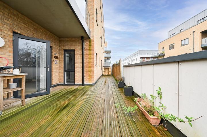 Chpk4374492 large-23-16 jpg