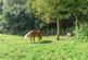 Additional image 47 of Spa Laithe Farm, Cragg Road, Cragg Vale, Hebden Bridge, HX7 5RX