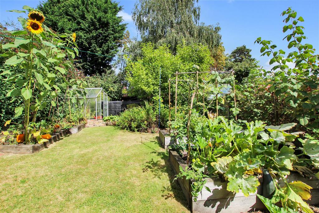 Rear Garden - c.JPG