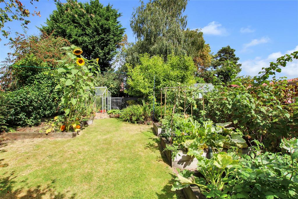 Rear Garden.JPG