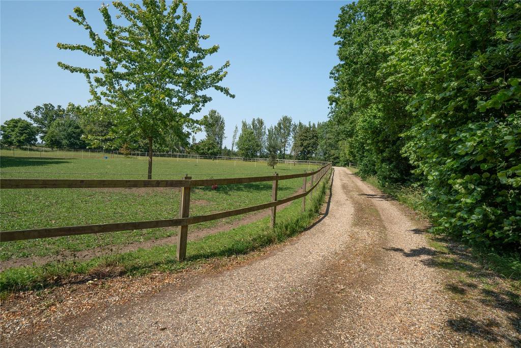 Driveway