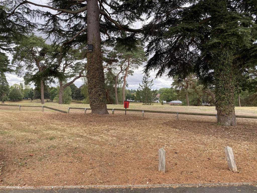 Area Views