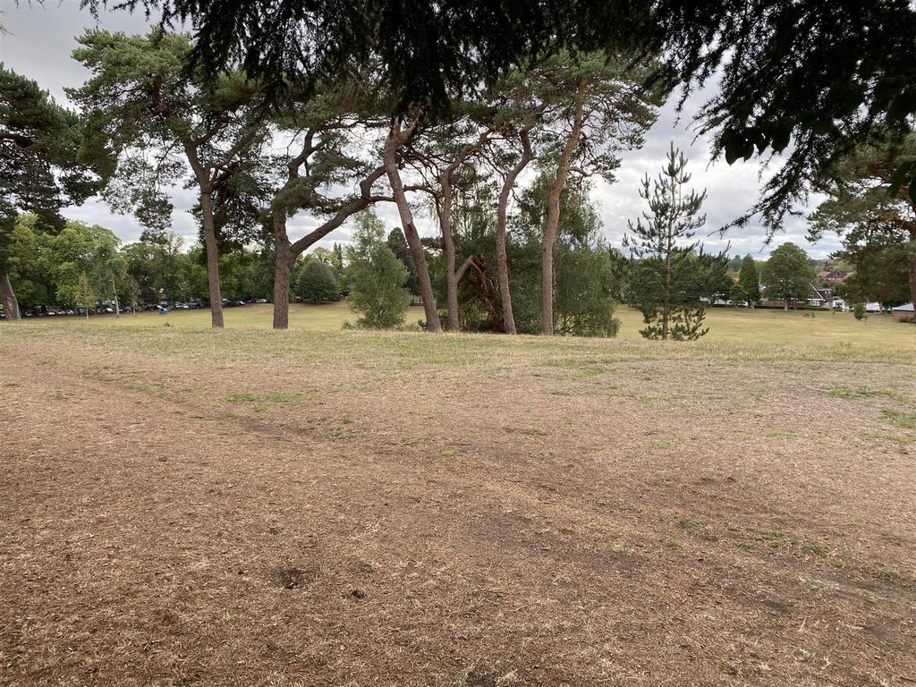 Area Views