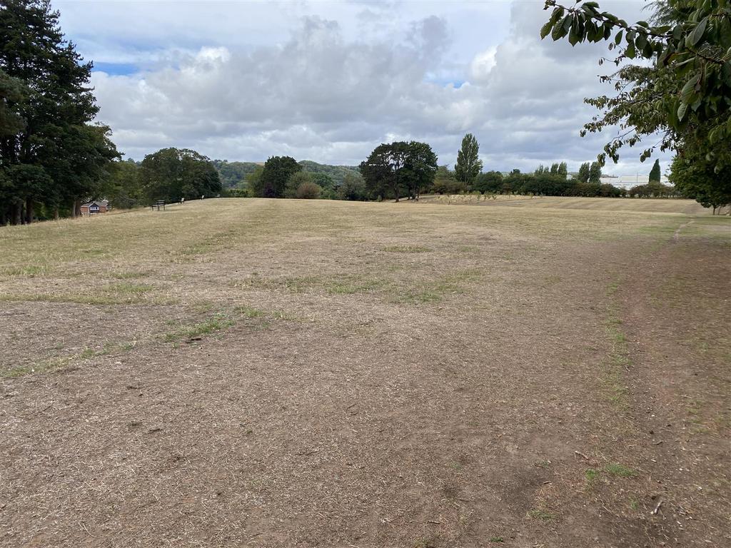 Area Views