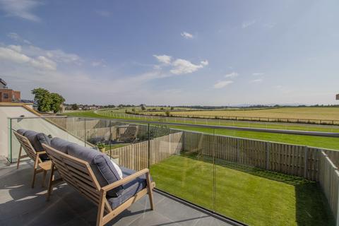 undefined, Furlong View, The Paddock