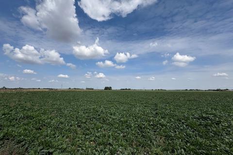 undefined, Arable Land To Let - Goredike Bank, Gorefield and Bustard's Lane, Walpole St Andrew