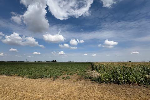undefined, Arable Land To Let - Goredike Bank, Gorefield and Bustard's Lane, Walpole St Andrew