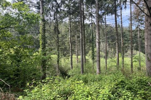 undefined, Bolsters Wood, Exeter EX4