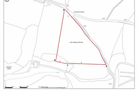 undefined, Ipplepen Cross, Newton Abbot TQ12