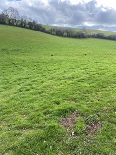 undefined, Exeter EX2