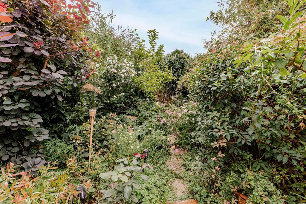 Garden (4)