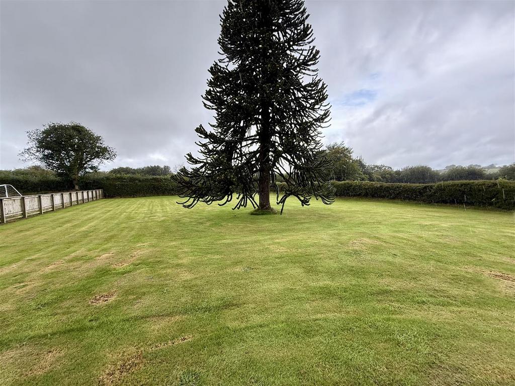 Front and rear grounds