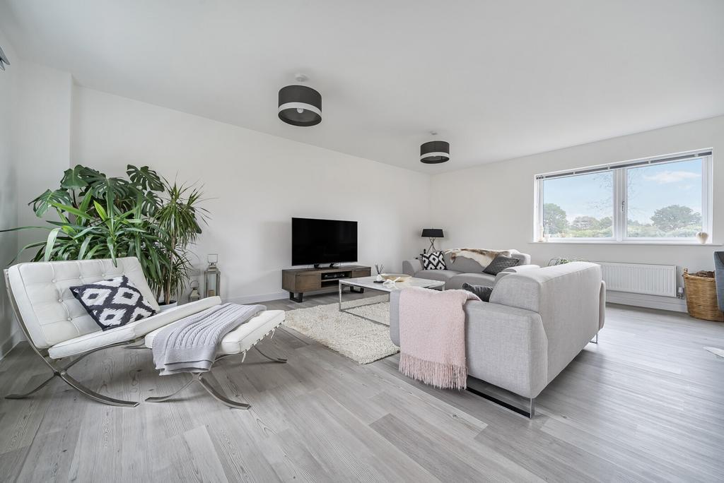 Picture 28