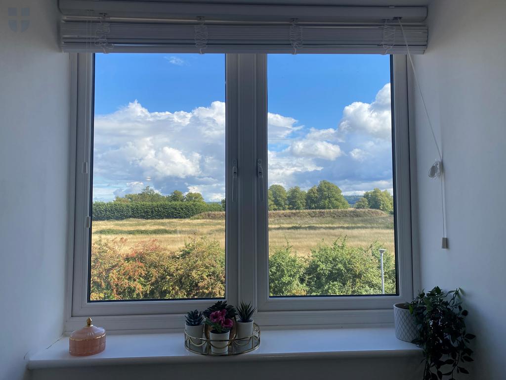 Window photo