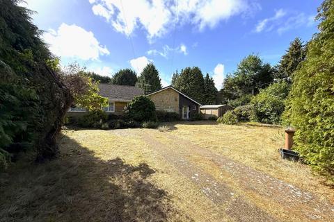 undefined, Drift Road, Whitehill GU35