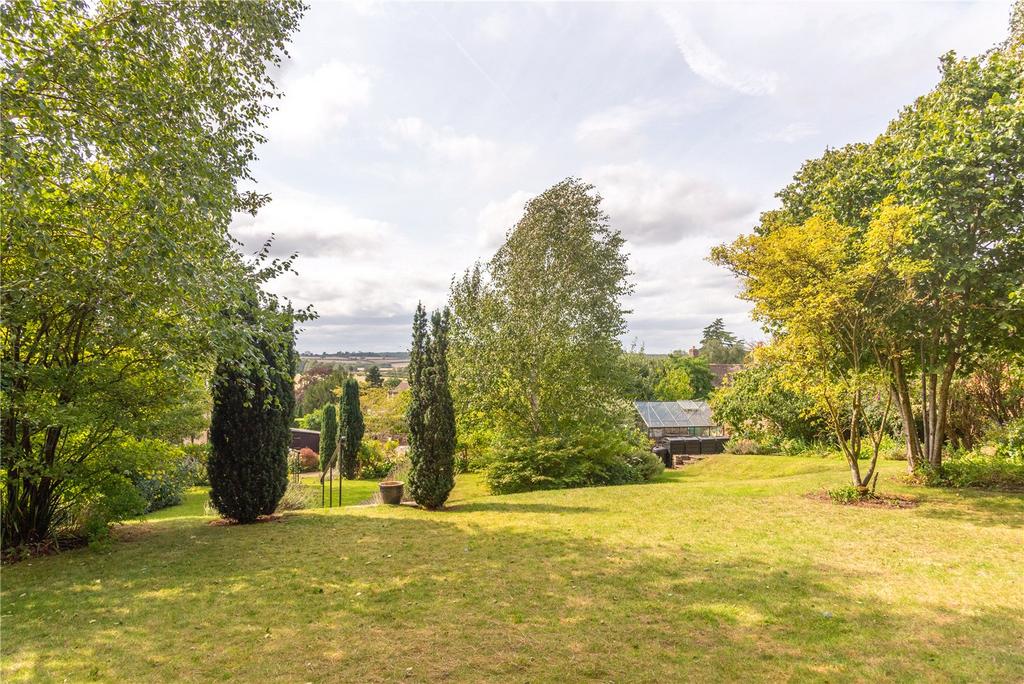 Extensive Lawns