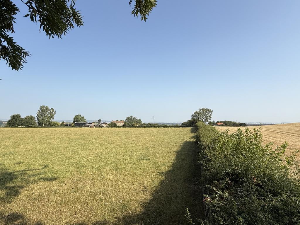 Img 0556