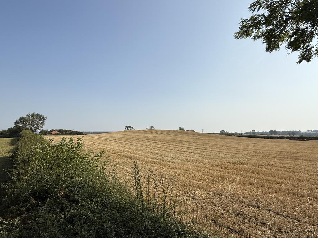 Img 0557