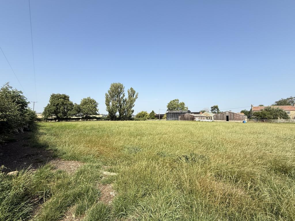 Img 0651