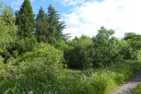 undefined, Auchentroig Wood, Buchlyvie FK8