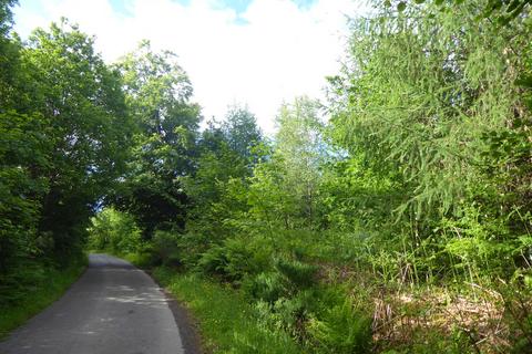 undefined, Auchentroig Wood, Buchlyvie FK8