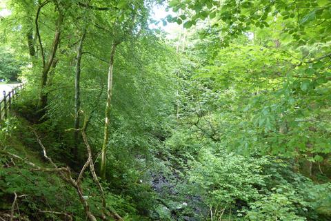undefined, Auchentroig Wood, Buchlyvie FK8