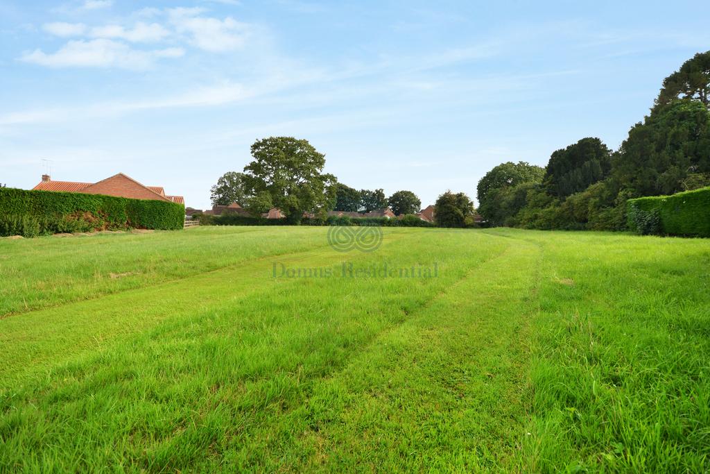 Field
