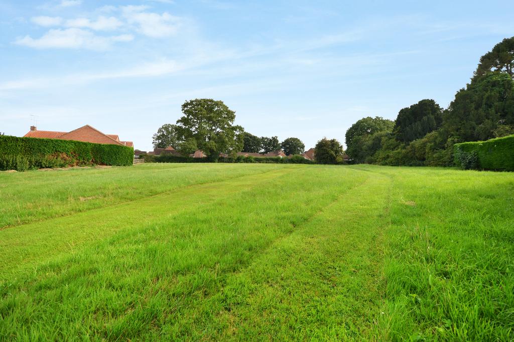 Field