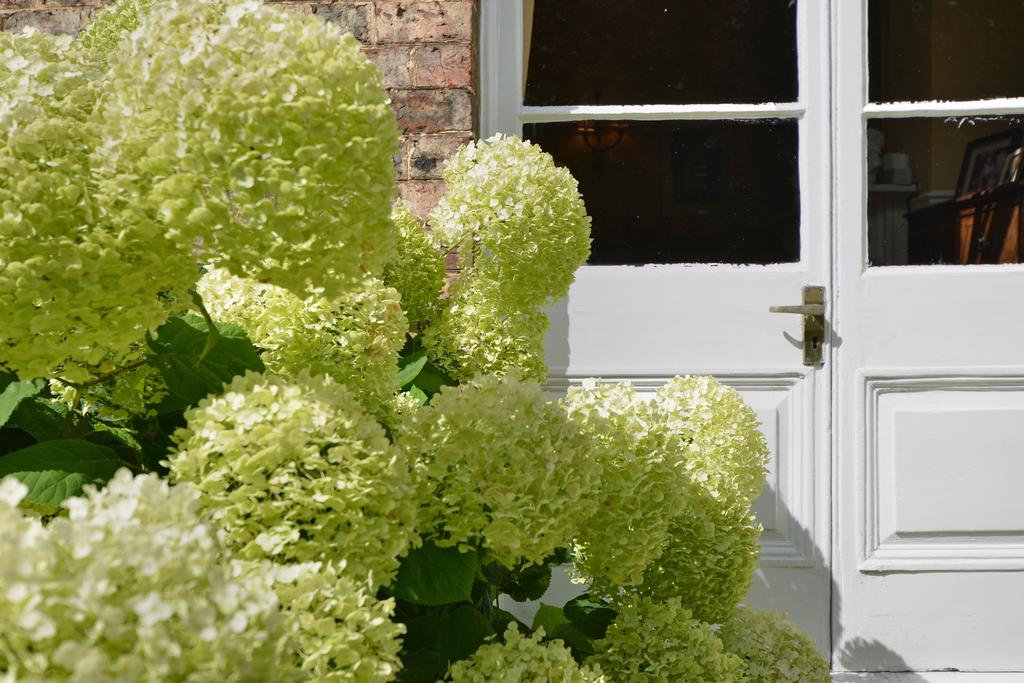 French Windows