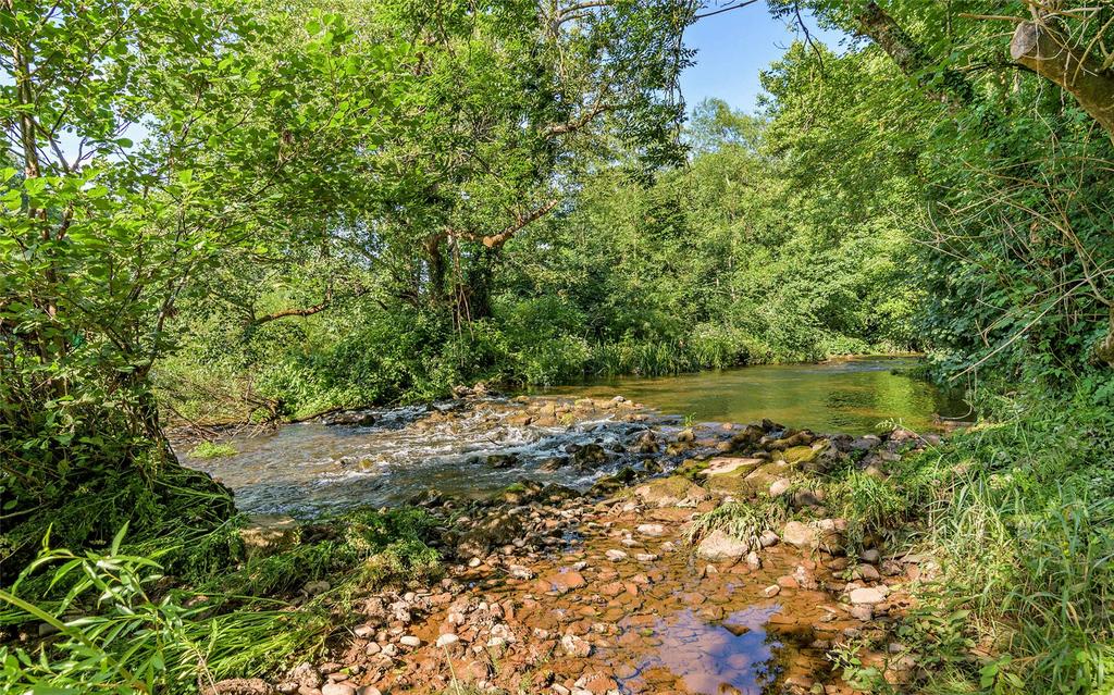 River View