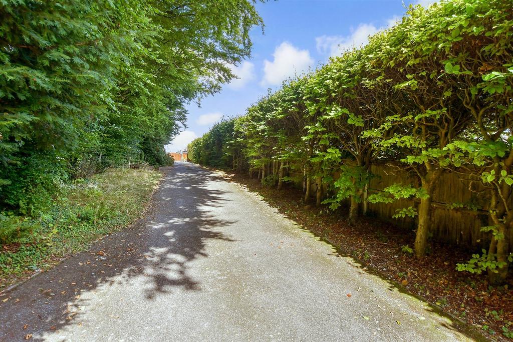 Driveway/Parking