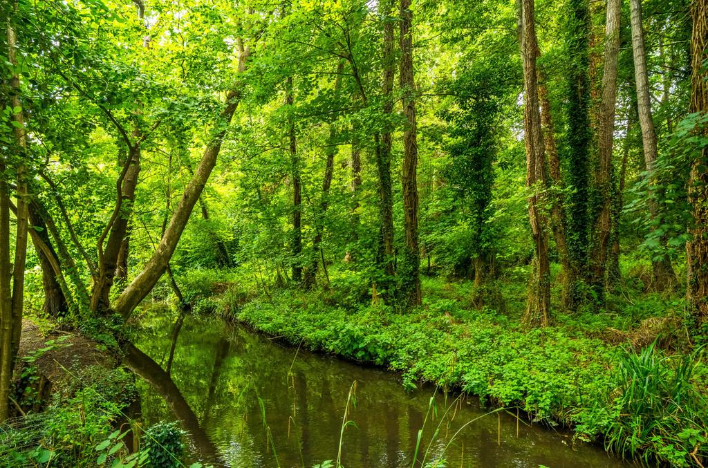 1341863-1-68a71a2...