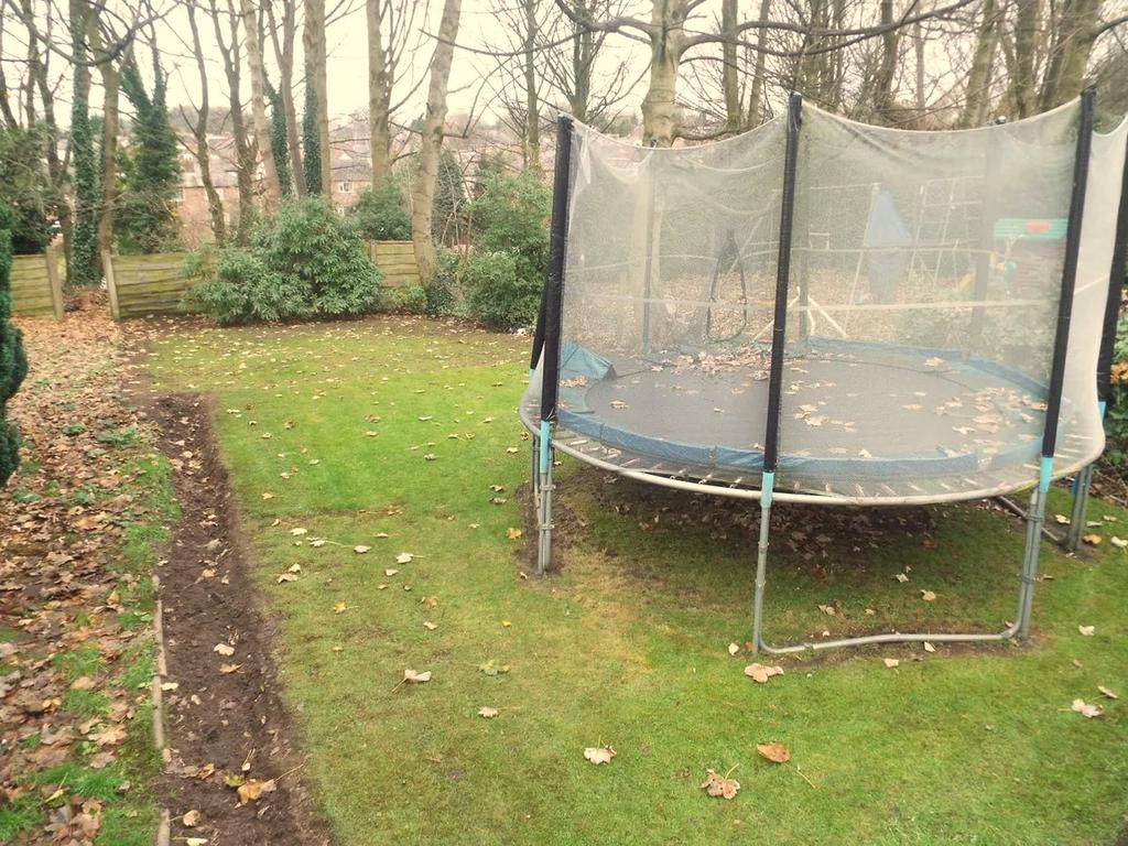 Garden - Illustration purposes