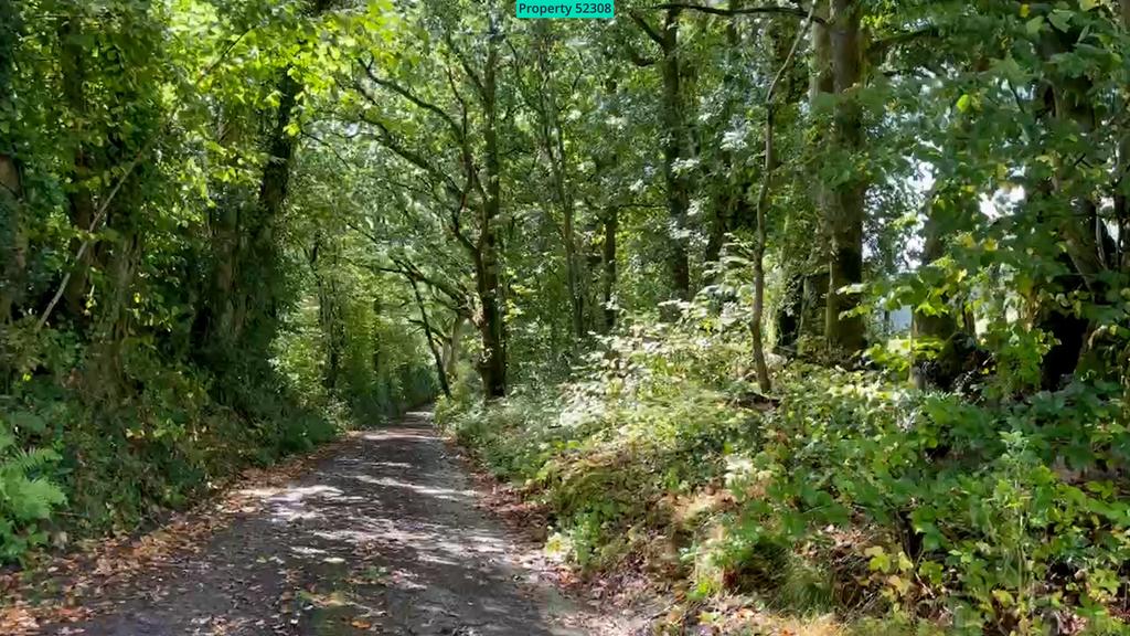 Council lane