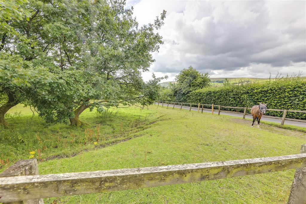 Front Paddock