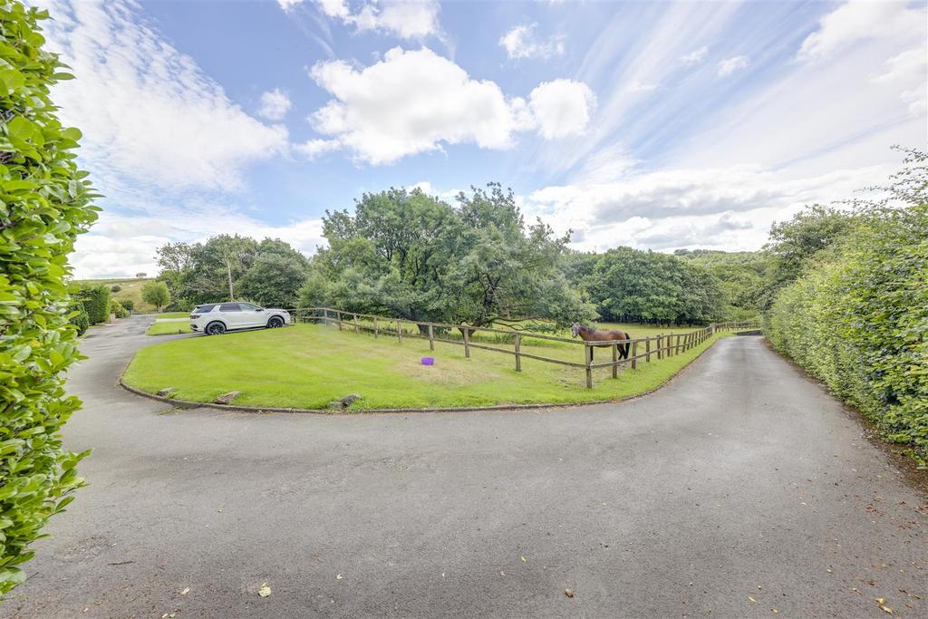 Driveway & Front Paddock